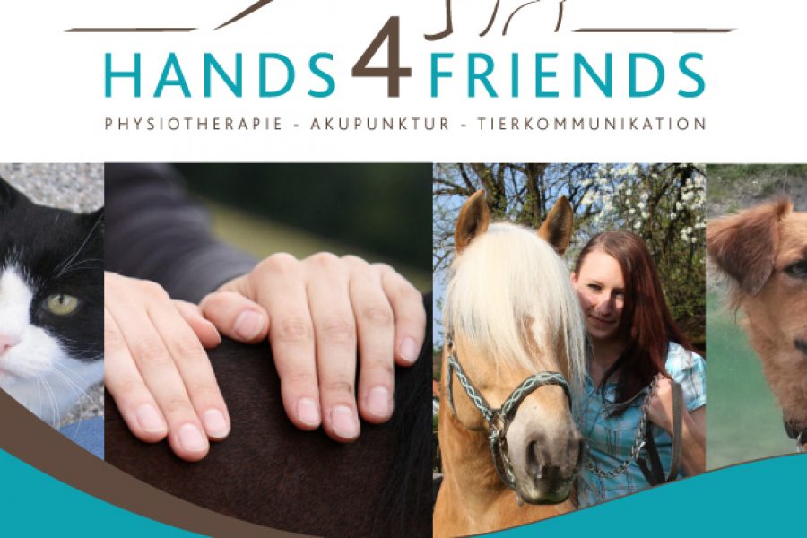 Hands4Friends