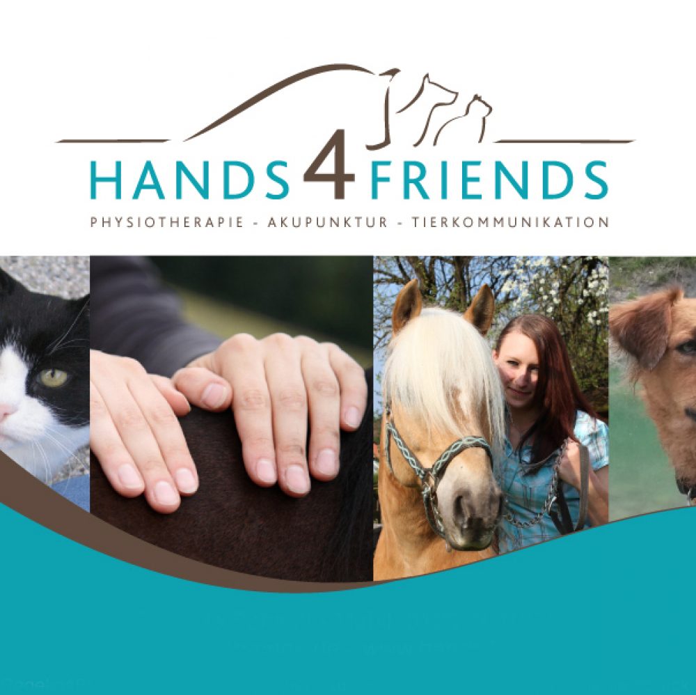 Hands4Friends